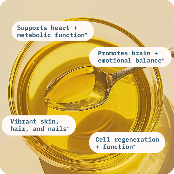 Supports heart + metabolic function*
Vibrant skin, hair, and nails*
Promotes brain + emotional balance*
Mitochondrial fuel