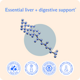 Supports liver detoxification*
Supports healthy fat digestion*
Boosts mitochondria for more energy*
Provides neuroprotective benefits*